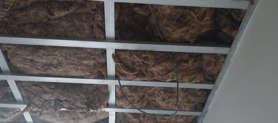 WhatsApp Image 2025-10-29 at 22.40.36