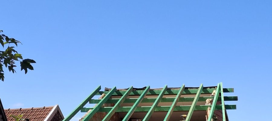 WhatsApp Image 2025-10-29 at 22.48.21(4)